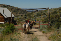 Jiggs horse ride